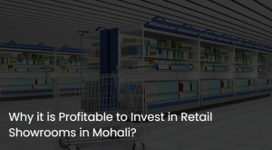 Why it is Profitable to Invest in Retail Showrooms in Mohali?